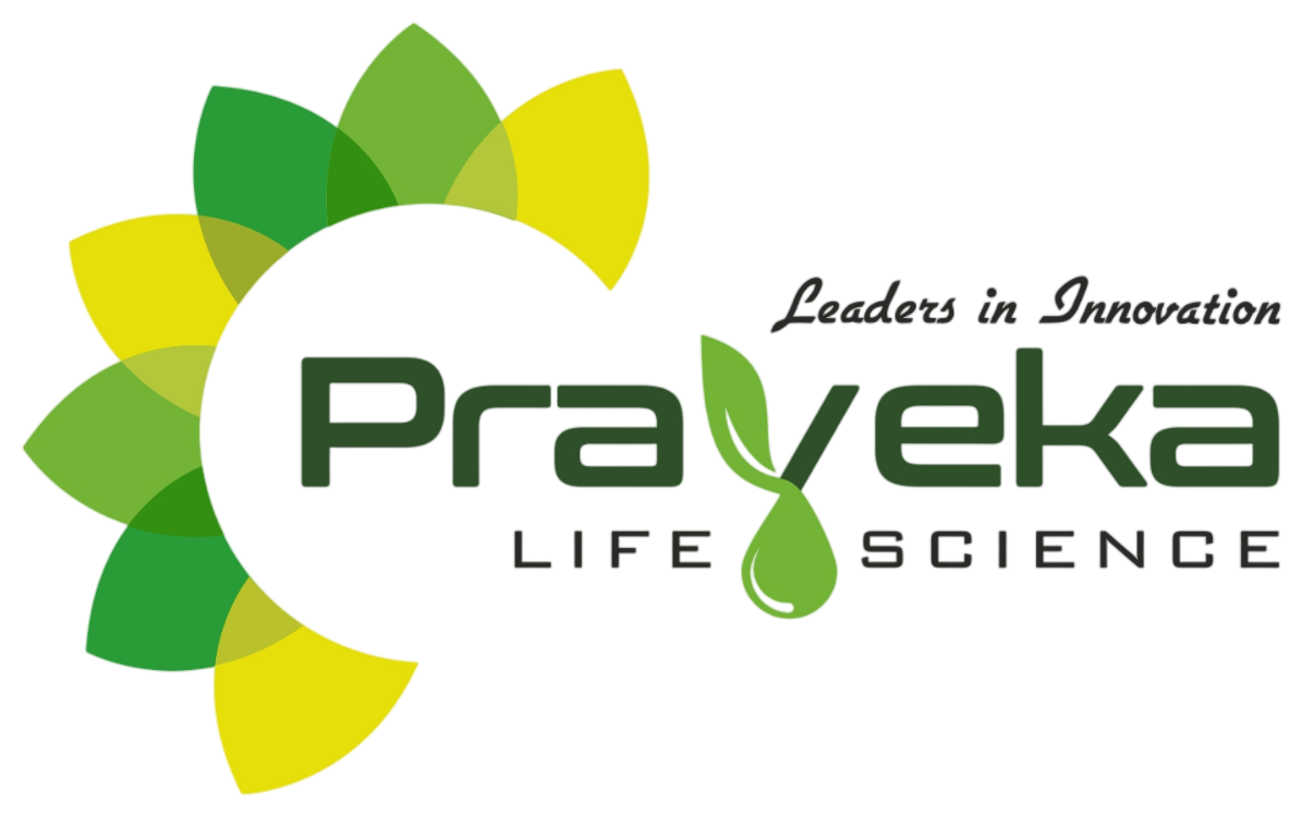 Praveka